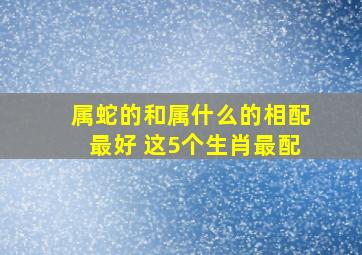 属蛇的和属什么的相配最好 这5个生肖最配